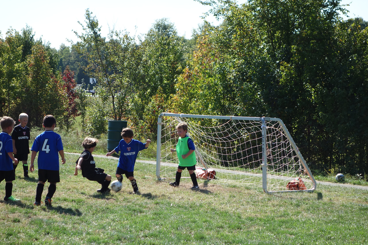 Sendi - Nicholas defends his goal