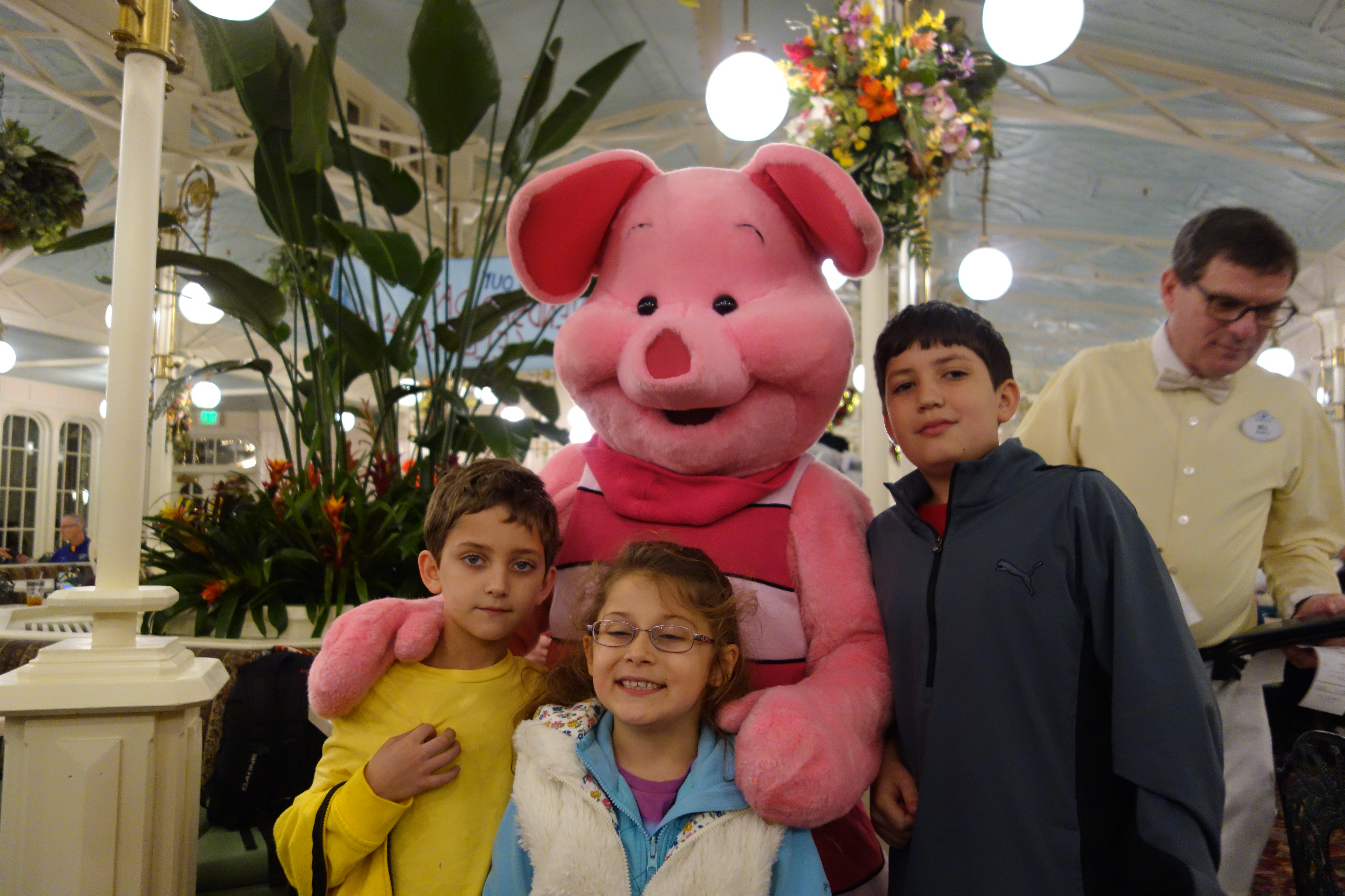 Piglet and family Crystal Palace, January 2016
